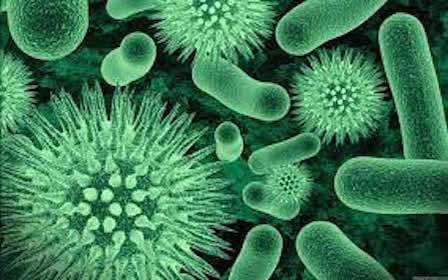 Gum disease and Systemic diseases