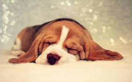Can Sedation help me?